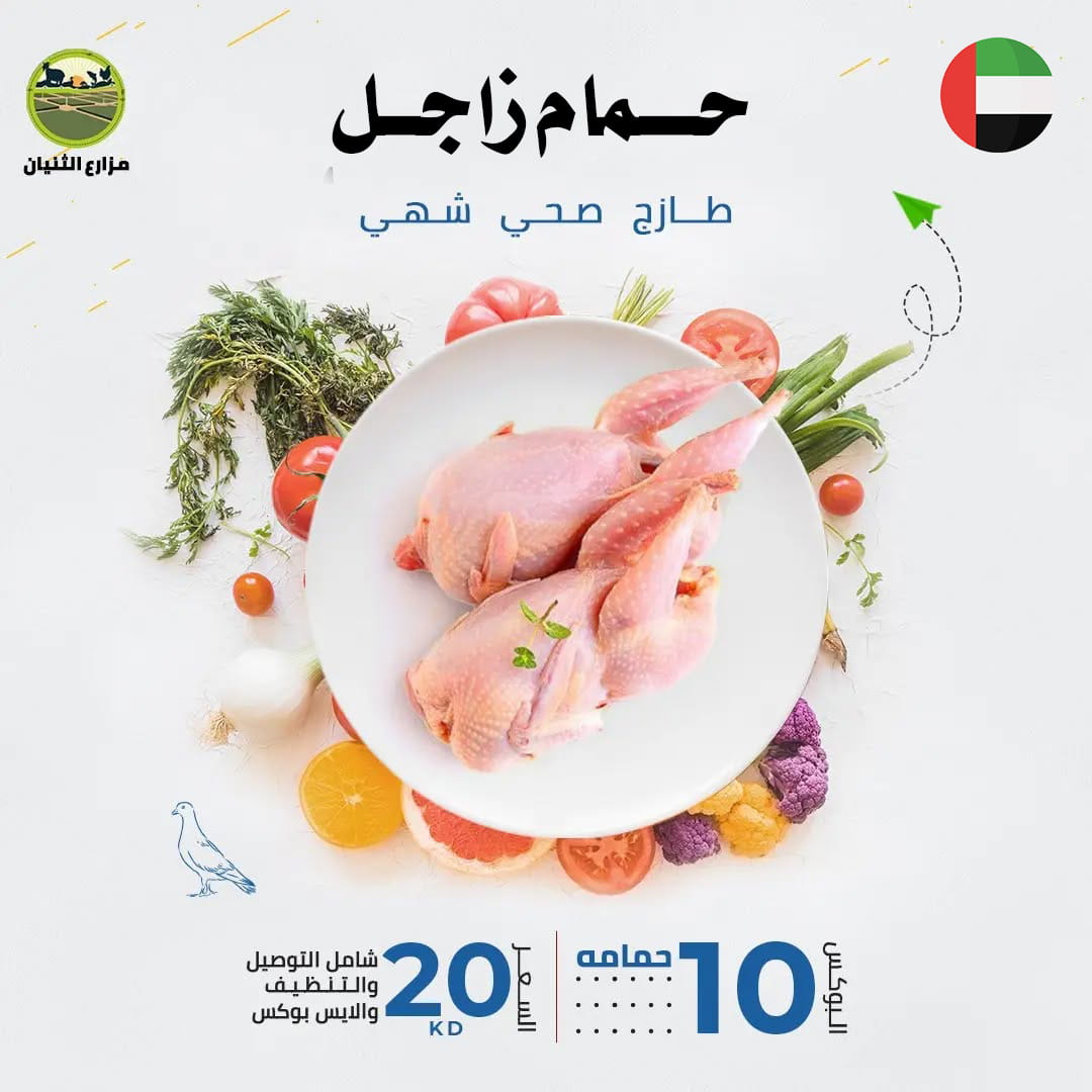 بوكس 10 حمامات زاجل